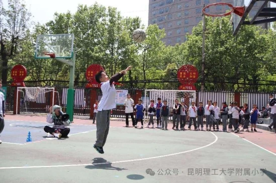 哪里有适合初学者的篮球训练管理指南_1